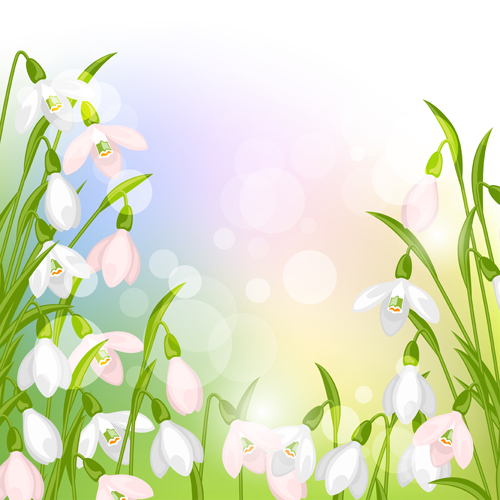 snowdrops flowers with shiny background vector snowdrops lantern flowers background vector background   
