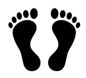 Cute Footprints vector vector Footprints   