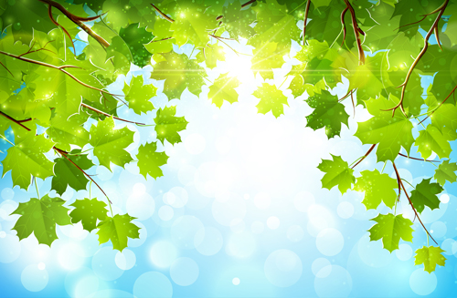Sunlight and green leaf nature background 02 sunlight nature Green Leaf green background   