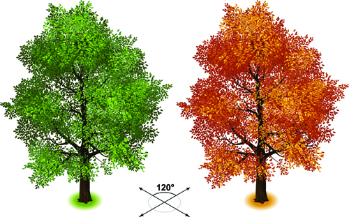 Creative isometric trees design vector 04 trees isometric creative   