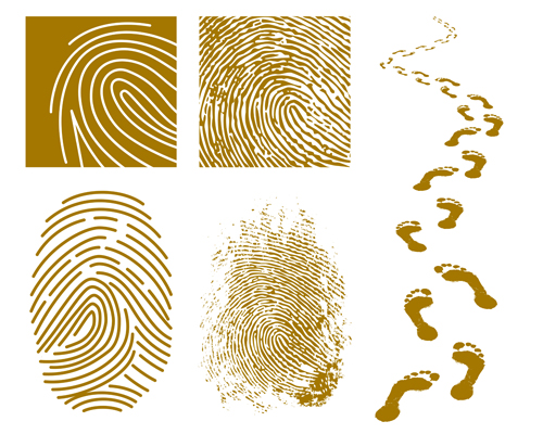 Different Fingerprints design elements vector 02 fingerprint elements element different   