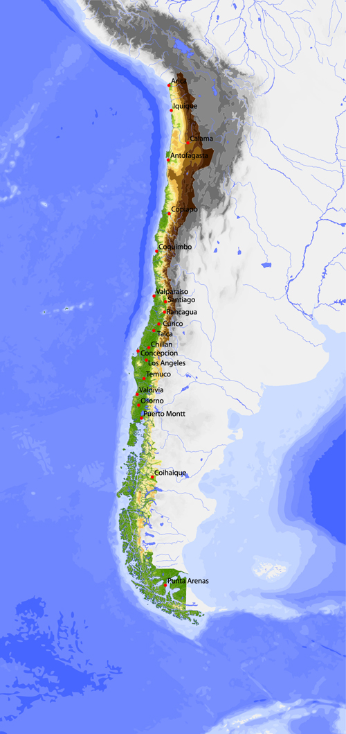 Vivid South America map design vector material 02 vivid south material America   