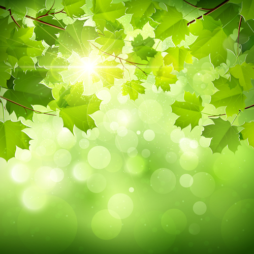 Sunlight and green leaf nature background 01 sunlight nature Green Leaf green background   