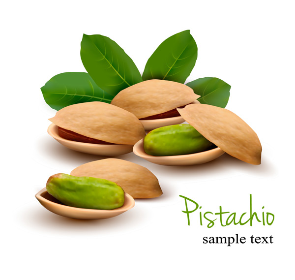 Realistic pistachio vector material realistic pistachio material   