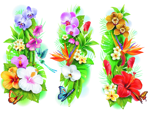 Flowers borders vector set 02 flowers flower borders border   