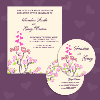 Wedding invitation with dvd kit design vector 04 wedding kit invitation DVD   