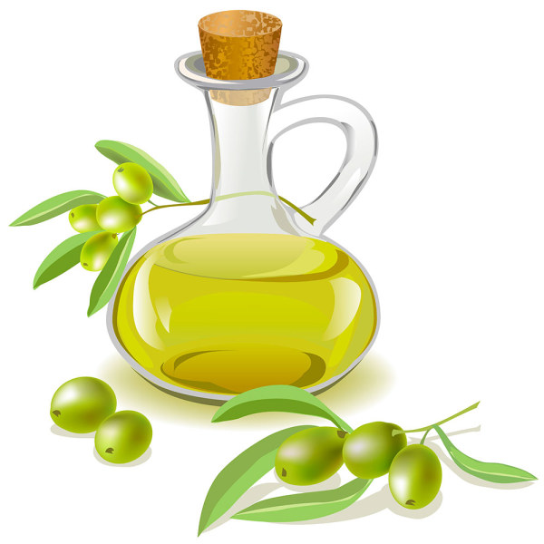 Olive oil bottle vector olive oil olive bottle   