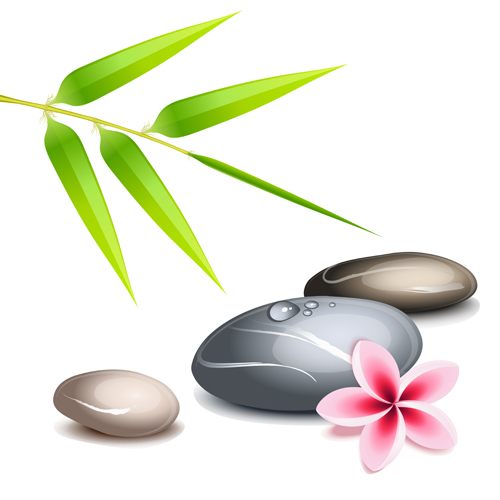 Set of Still life with stones design vector graphics 02 stones Still life   