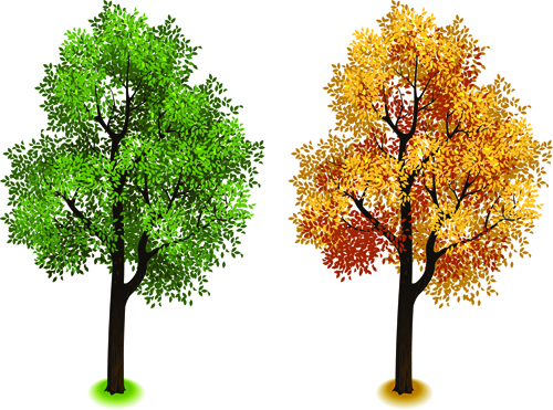 Creative isometric trees design vector 02 trees isometric creative   