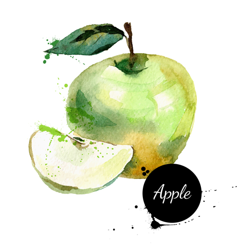 Hand drawn apple watercolor vector watercolor hand drawn apple   