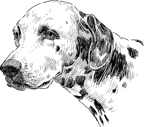 Hand drawn dogs vector set 04 hand-draw hand drawn dogs dog   