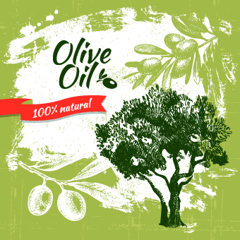 Vintage Olive oil background vector 03 vintage olive oil olive background vector background   