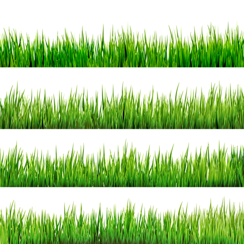 Realistic grass borders design vector 02 realistic grass borders   