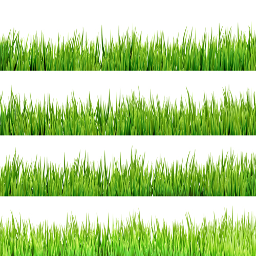 Realistic grass borders design vector 01 realistic grass borders   