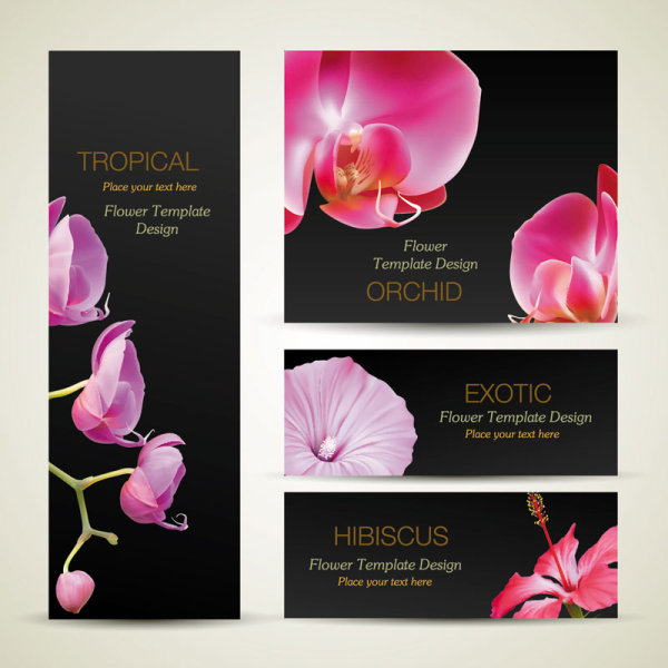 with Flowers cards vector template 01 flower cards   