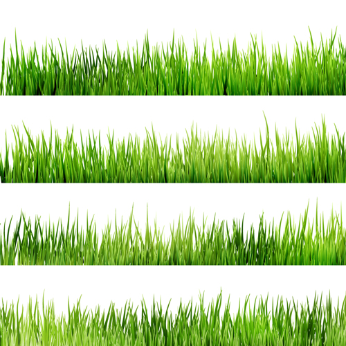 Realistic grass borders design vector 03 realistic grass borders border   