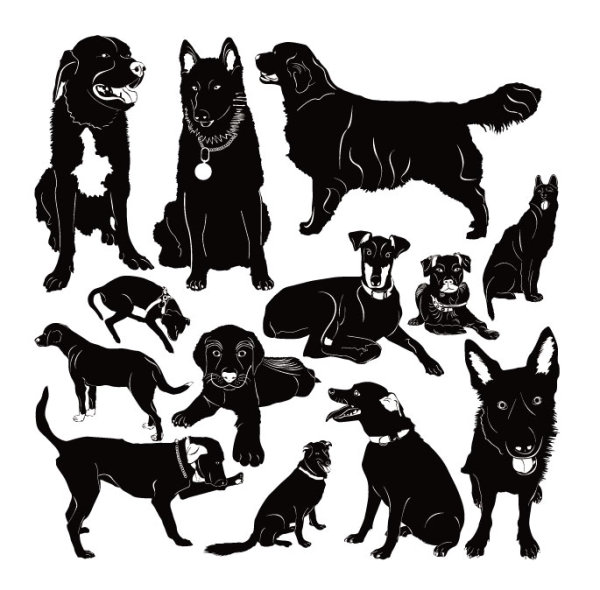 Different dog vector Silhouettes graphic silhouettes silhouette dog different   