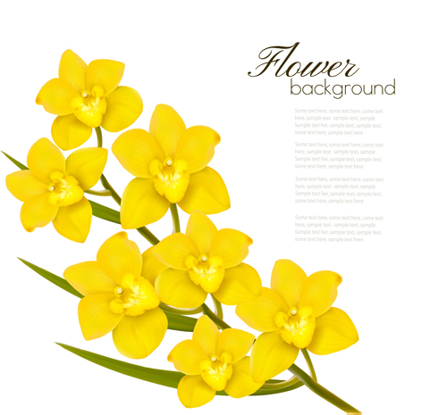 Elegant yellow flowers art background vector 02 flowers elegant background   