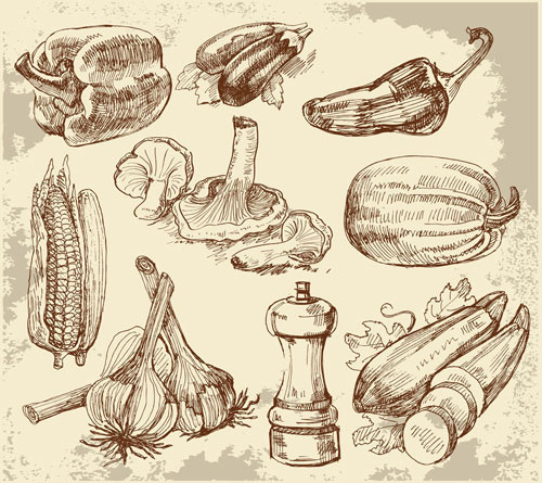 Set of Sketch Kitchen supplies vector 02 supplies sketch kitchen   