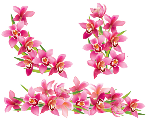 Pink orchids design vector 02 pink orchids   