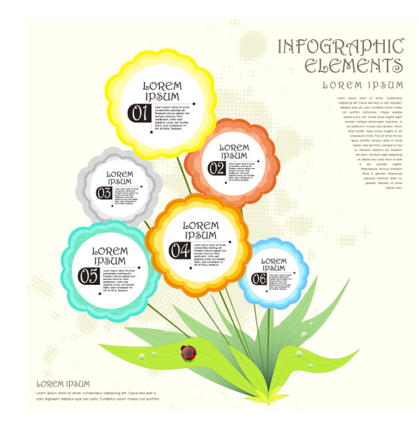 Plant flower infographic vector plant infographic flower   