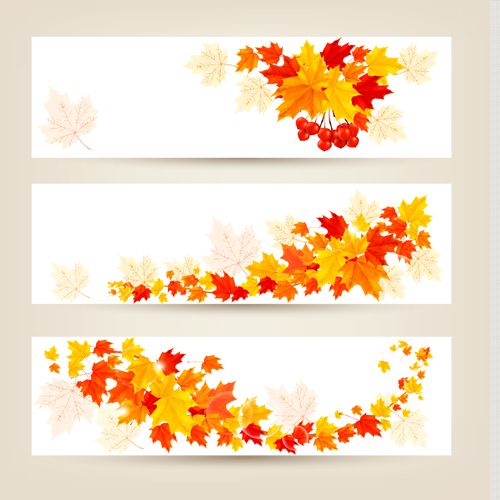 Maple Leaf banners vector set 05 maple leaf maple banners banner   