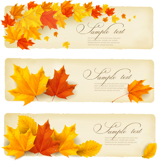 Maple Leaf banners vector set 03 maple leaf maple banners banner   