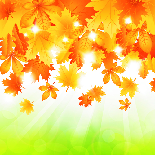 Beautiful autumn Leaves vector 05 leave beautiful autumn leaves   