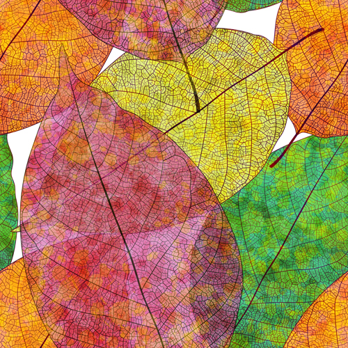 Beautiful autumn leaves vector seamless pattern 01 seamless pattern beautiful autumn leaves autumn   