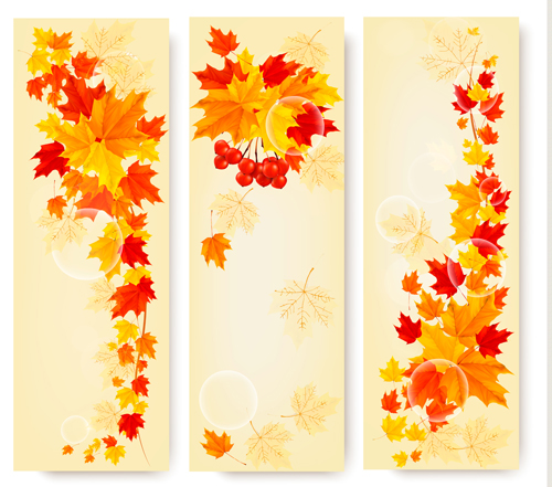 Maple Leaf banners vector set 04 maple leaf maple banners banner   