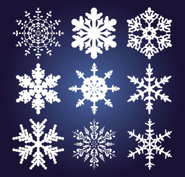 Different Snowflake pattern mix vector graphics 01 snowflake snow pattern different   