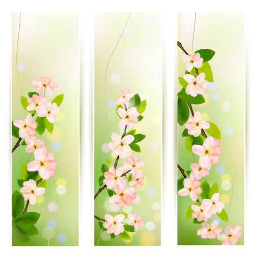 Spring Pink flowers banner vector 02 spring pink flowers flower banner   