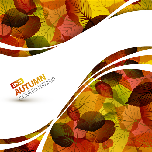 Pretty Autumn backgrounds art vector 04 pretty Autumn backgrounds autumn background autumn   