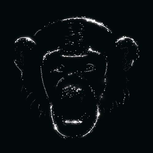 Monkey with light and black background vector 03 monkey light black background   