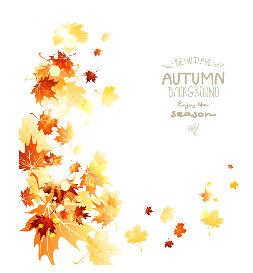 Beautiful autumn leaves background creative vector 04 leaves background beautiful background autumn leaves autumn   