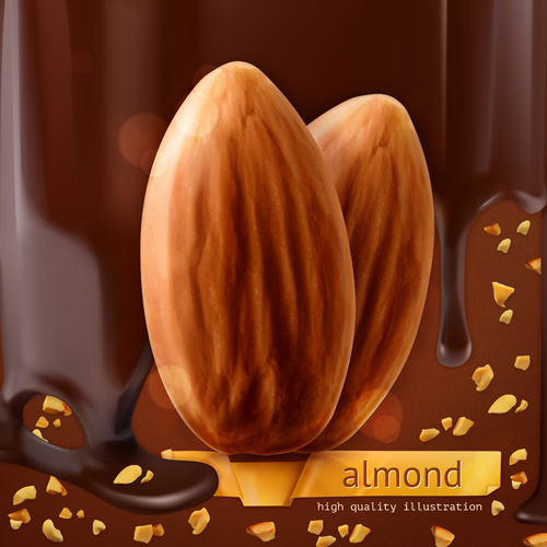 Almond with chocolate background vector material chocolate background almond   