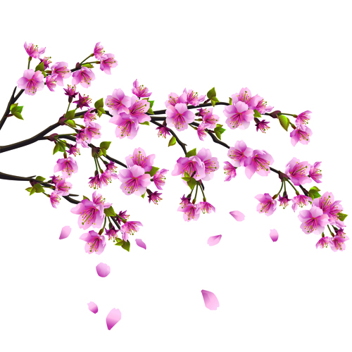 Japan Cherry Blossoms free vector 03 japan Cherry Blossoms   