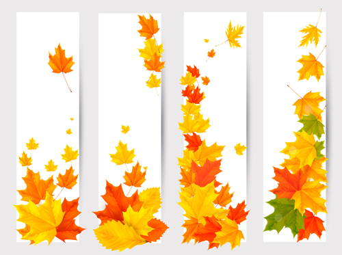 Maple Leaf banners vector set 01 maple leaf maple banners banner   