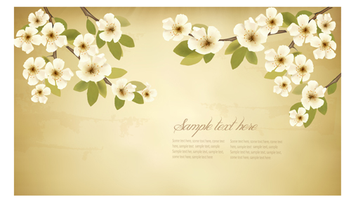 spring white flowers with vintage background 02 white flowers vintage spring flowers flower background   