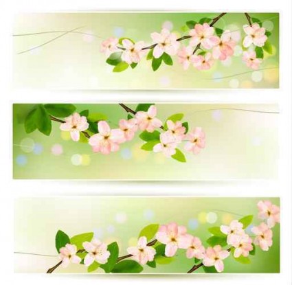 Flower green banners vectors green flower banner background   