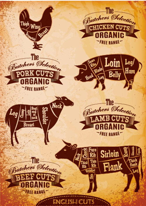 butchers cuts labels vector material 02 material labels cuts butcher   