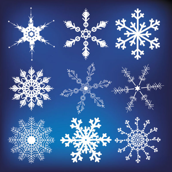 Different Snowflake pattern mix vector graphics 03 snowflake snow pattern different   