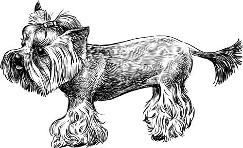 Sketch dog design vector 04 sketch dogs dog   