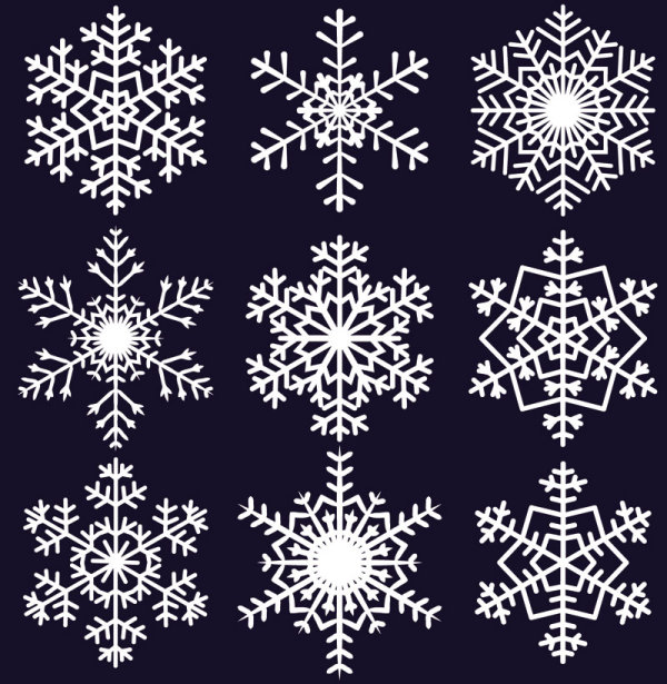 Different Snowflake pattern mix vector graphics 04 snowflake snow pattern different   