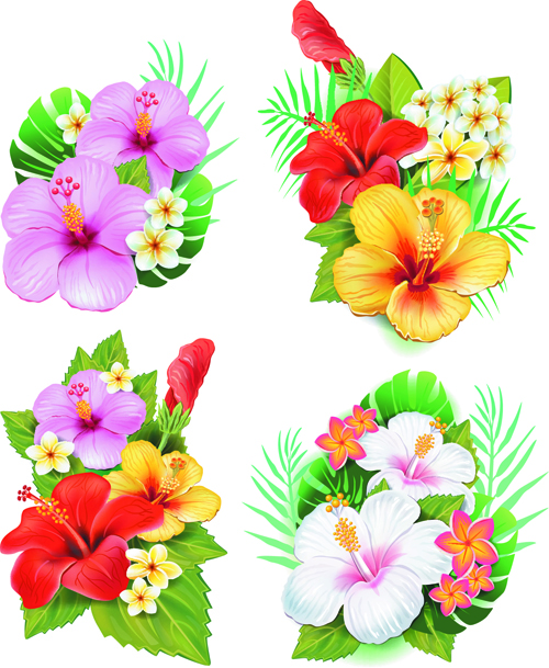 Beautiful flowers vector 05 flower Beautiful flowers beautiful   