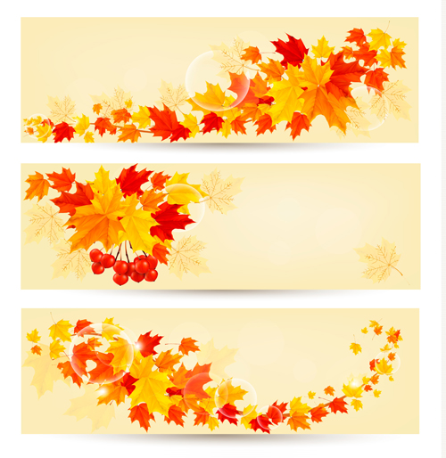Maple Leaf banners vector set 02 maple leaf map banners banner   