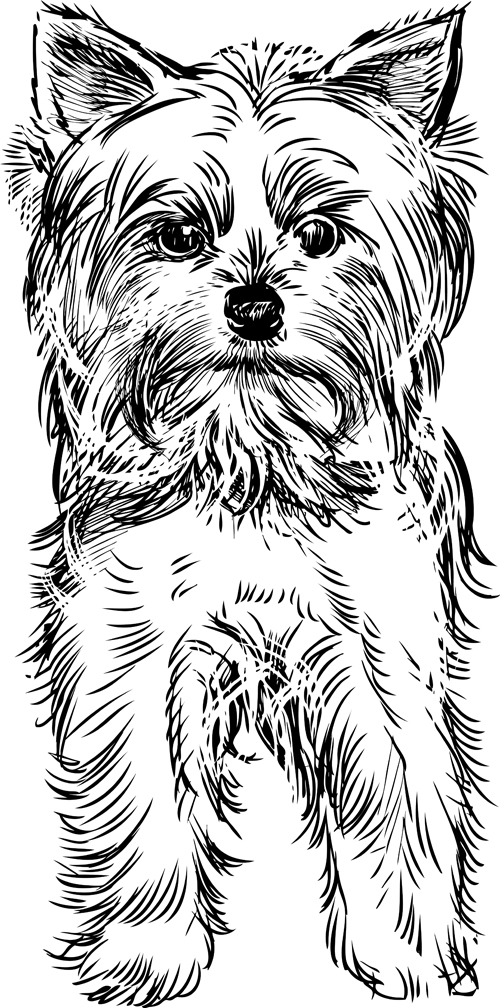 Sketch dog design vector 05 sketch dogs dog   