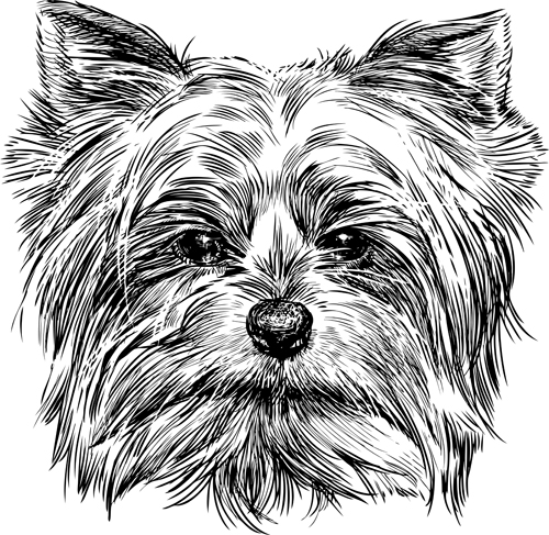 Sketch dog design vector 03 sketch dogs dog   