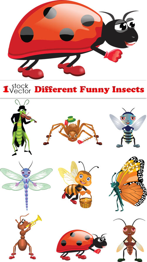Various Funny Insects Vector set insects funny bright   