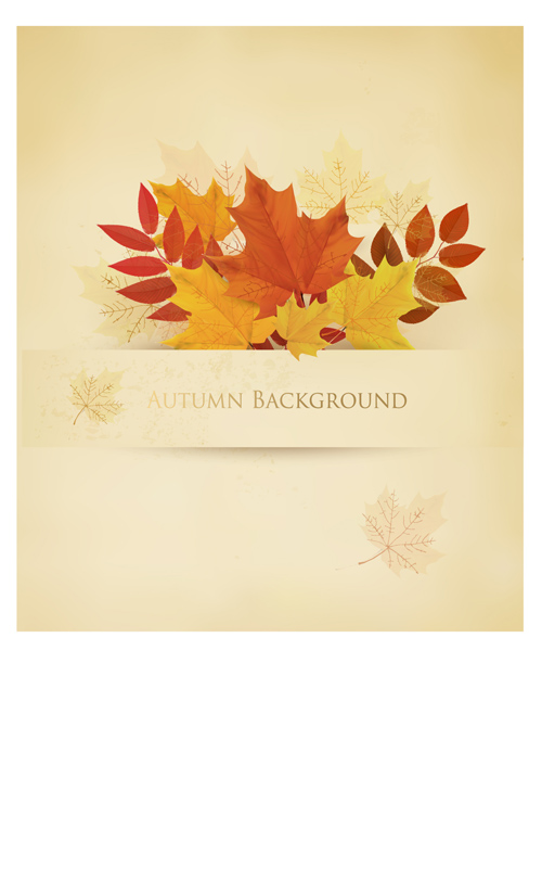 Leaf autumn creative background vector leaf Creative background background vector background   
